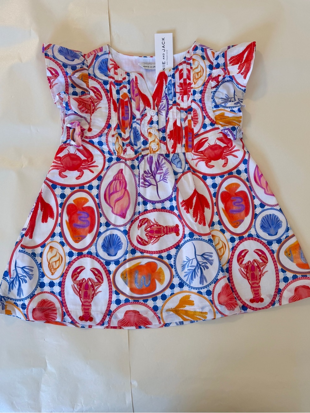 Janie and Jack dress 🦞